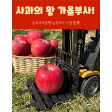 가을사과 [부사]  10kg 28과 대과